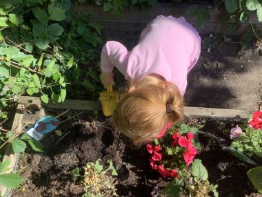barn planter en blomst